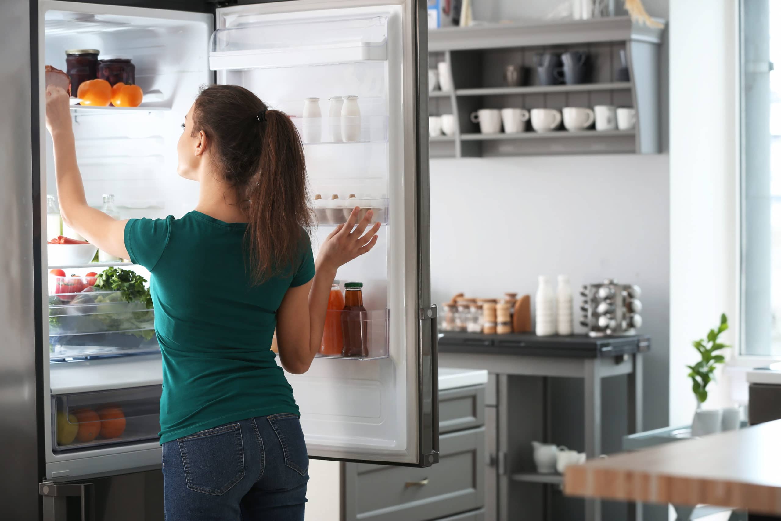 What To Do If Your Refrigerator Isn t Cooling Lee Company