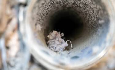 How Often Should Air Ducts Be Cleaned? | Lee Company